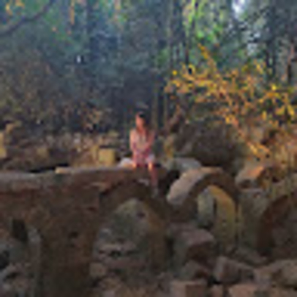 Meet your Posher, Mishel